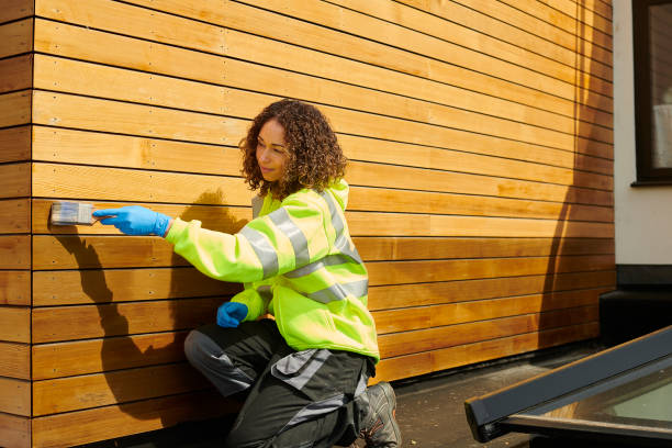 Best Aluminum Siding Installation  in Milford, IA